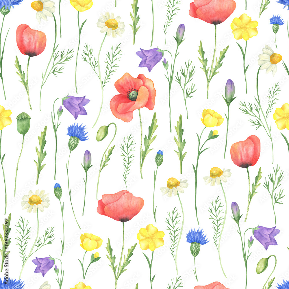 Fototapeta premium Seamless pattern wildflowers mix
