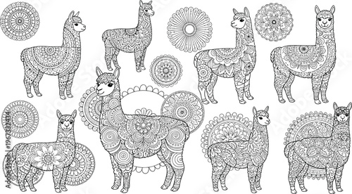 Ornate llama and alpaca illustrations with intricate mandala patterns, decorative zentangle animals collection in detailed black and white vector style