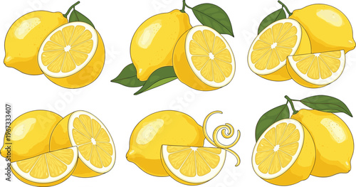 Lemon Fruit Collection with Whole and Sliced Citrus Pieces Fresh Yellow Illustration Set for Juice Packaging Healthy Food and Summer Design