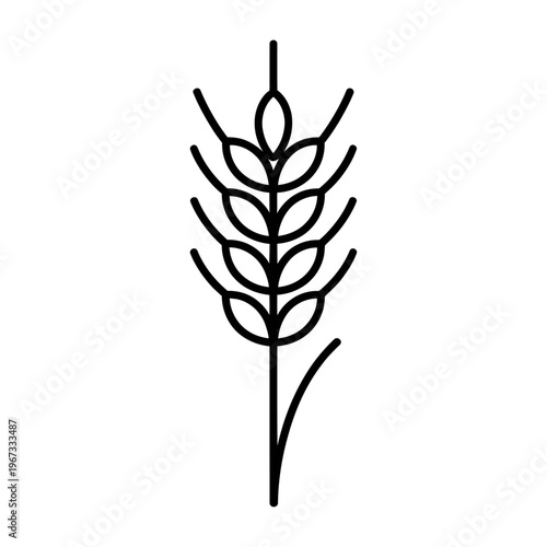 Minimalist vector of a wheat stalk with grains and leaves