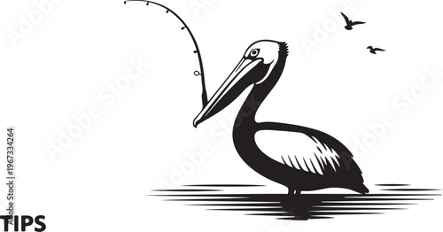 Black and white pelican standing in water with fishing rod and birds flying