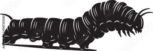 Black caterpillar with white highlights on white background