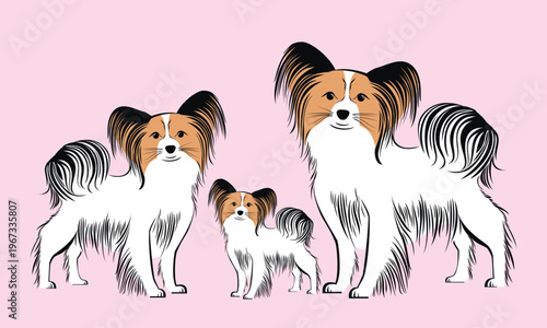 Papillon dogs. Cute dog family isolated on pink background. Vector Illustrated