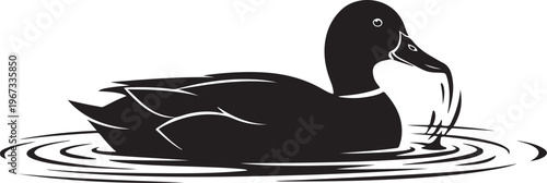 Black duck swimming in water with ripples bird