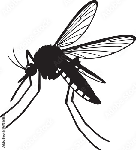 Black mosquito silhouette with white spots on abdomen and detailed wings