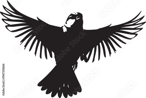 Black silhouette bird with wings spread white background