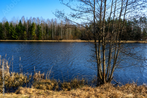 Zbiornik wodny Wyżary, Puszcza Knyszyńska, Podlasie, Polska