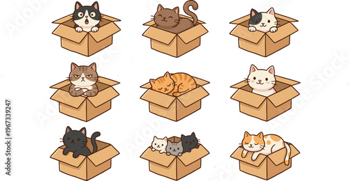 Cute Cats Playing and Sleeping in Boxes Collection with Various Breeds and Expressions for Pet, Animal, and Cartoon Designs