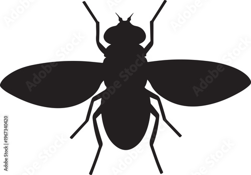 Black silhouette of a fly insect white background