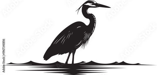 Black silhouette of a heron standing in water bird