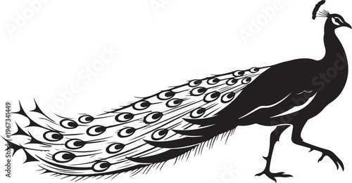 Black silhouette of a peacock with spread tail feathers