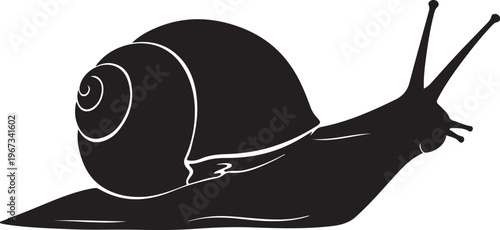 Black silhouette of a snail with a spiral shell white background