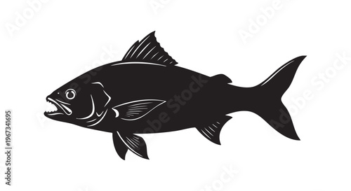 A black silhouette of a fish on a white background isolated on transparent background