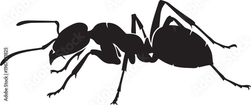 Black silhouette of an ant insect six legs