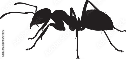 Black silhouette of an ant insect six legs
