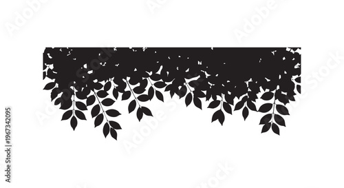A black leafy border design on a white background for decoration purposes isolated on transparent background