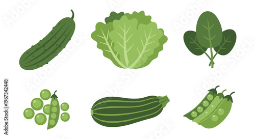 Fresh Green Vegetables Assortment: Healthy Leafy Produce and Legumes Illustration