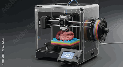 A 3D printer creates a biological organ model.