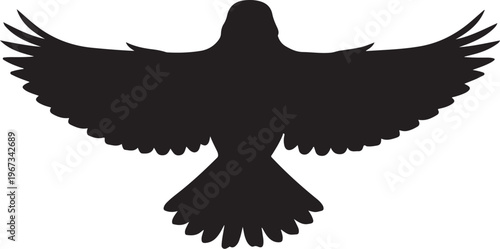 Black silhouette of bird with outstretched wings outstretched