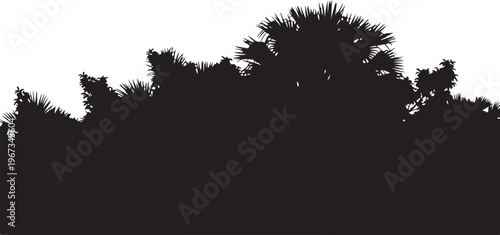 Black silhouette of palm trees on white background