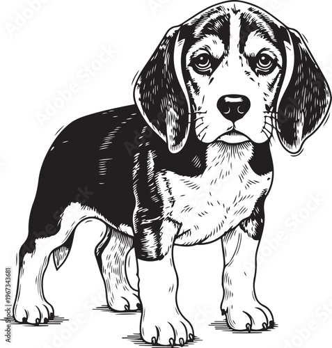 A charming black and tan beagle puppy standing attentively in a simple line drawing style sketch vector illustration