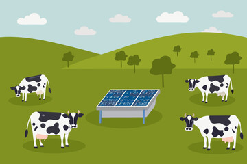 Fototapete Bauernhof Weidende Kühe neben Solarpaneelen  © Amrito