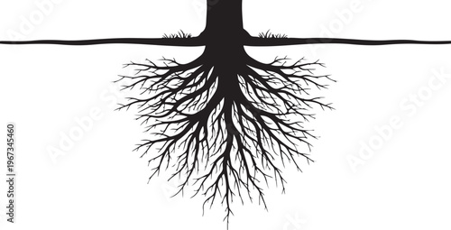 Black silhouette of tree roots growing downward from trunk