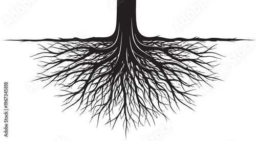 Black silhouette of tree roots growing downward root system
