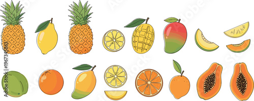 Tropical fruits collection pineapple mango papaya orange lemon melon fresh summer food vector illustration set