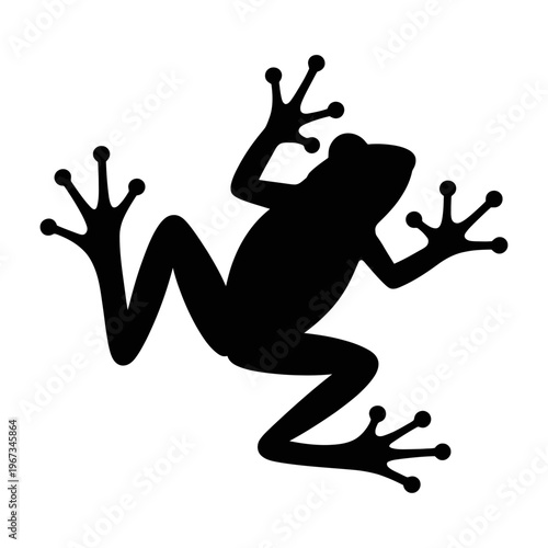 Vector of a frog silhouette with limbs and body structure