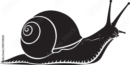 Black silhouette snail with white outline