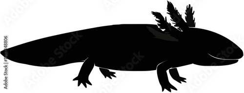 Axolotl Silhouette – Flat Vector Plotter Cut File