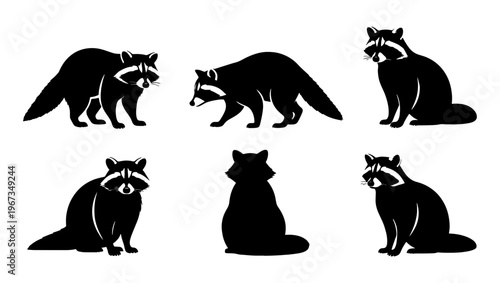 Black raccoon silhouette collection, set of 6 wild animal vector icons, north american forest wildlife graphics for logos and design