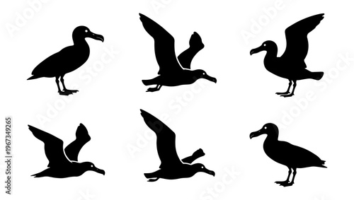 Albatross bird silhouette collection, set of 6 black seabird icons in flight and standing poses, marine wildlife vector graphics for nature design