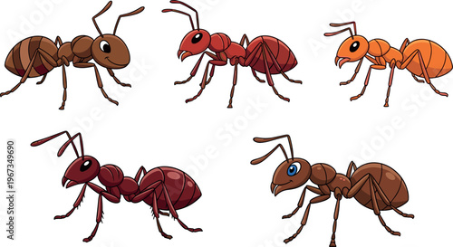 Cartoon Ant Character Illustration Set with Colorful Insect Designs Cute Stylized Ant Collection for Kids Education Nature Projects and Animal Vector Graphics.