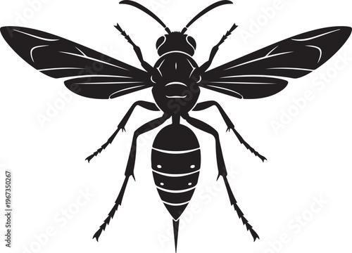 Black wasp silhouette with white highlights on white background