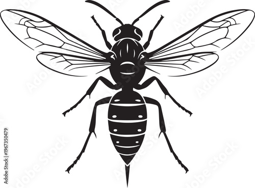 Black wasp with white details and transparent wings