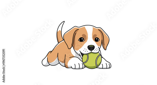 Cute beagle puppy lying down on its belly and biting a green tennis ball with a playful expression on its face against a white background.
