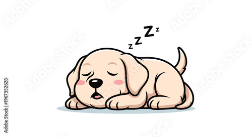 Cute golden retriever puppy sleeping peacefully with eyes closed and snoring letters above its head on a white background.