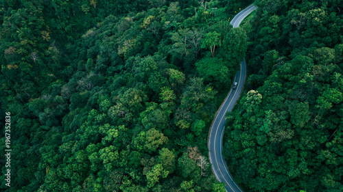 Tableau sur toile Scenic winding road in forest, suitable for green business concepts, climate responsibility, sustainable investment planning, and eco-conscious corporate messaging