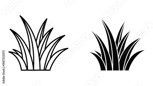 Contrasting illustrations of grass and plant blades in black and white