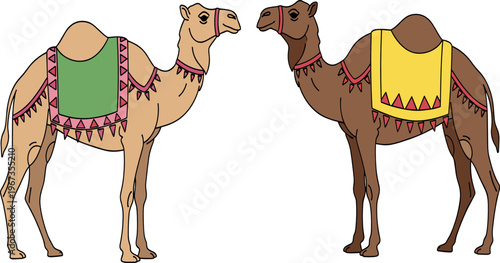 Illustration of Two Camels with Colorful Saddles for Desert, Animal, and Nomadic Culture Designs