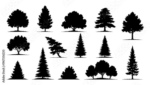 Black tree silhouettes collection, set of 14 deciduous and coniferous tree icons, forest plant vector elements for landscape design and architectural visualization