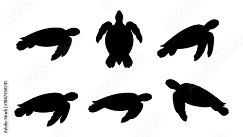 Photography Sea turtle silhouette set, 6 black aquatic animal vector elements