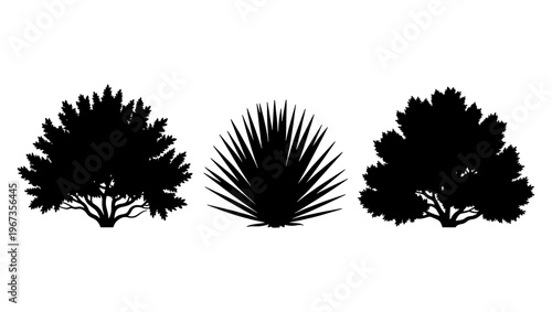Black bush silhouette set, 3 garden shrub and desert plant icons, minimalist landscape greenery vector elements for architectural site plans
