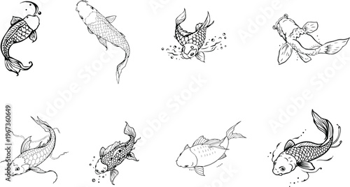 Koi Fish Swimming Line Art Illustration, Detailed Koi Fish Outline in Clean Stroke Style on White Background