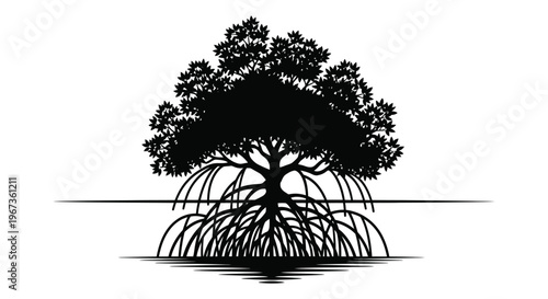 A striking black and white image of a mangrove tree roots visible above water presented as a silhouette high quality professional