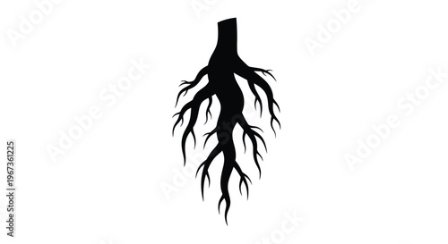 Abstract tree root system depicted as a dark form silhouette