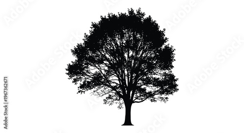 A dramatic black silhouette of a mature full tree with dense foliage against a stark white background silhouette high quality professional