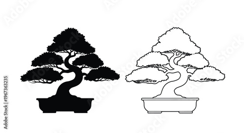 Two bonsai trees one dark and one white presented as a silhouette
